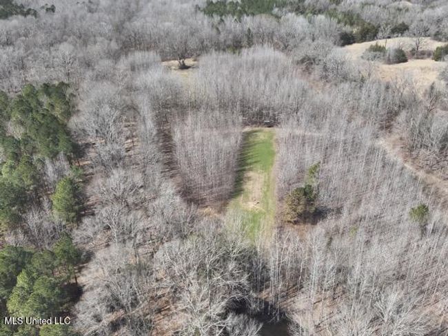 DJI_20250303113640_0020_V Medium | Image 19
