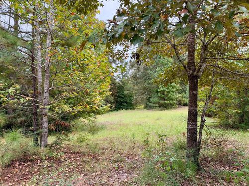 7 Acres Cr 3266, Colmesneil, TX, 75938-9999 | Card Image
