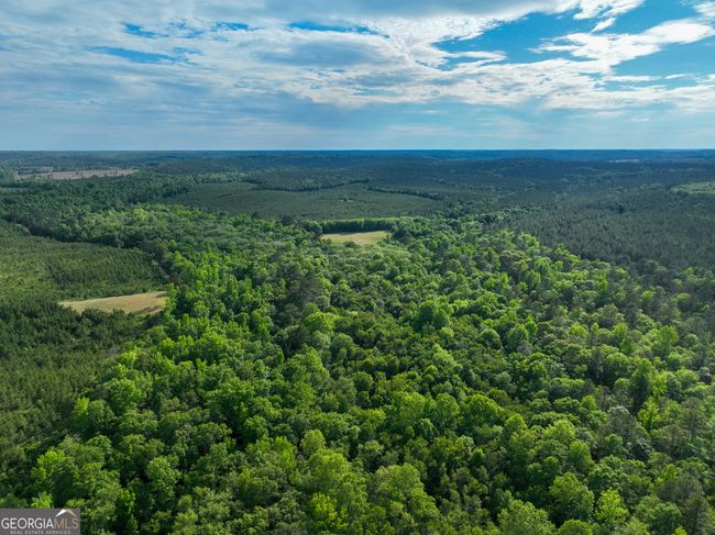 6620 Jr Sims Rd, Home with 0 bedrooms, 0 bathrooms and null parking in Irwinton GA | Image 13