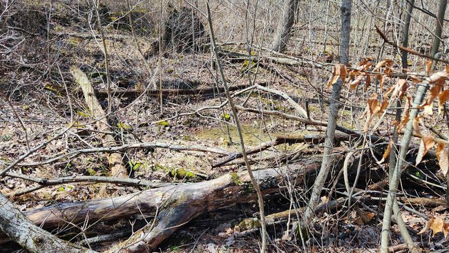 TRACT-1-PIKE-LAKE-GETAWA - 0 Pike Lake Rd, Home with 0 bedrooms, 0 bathrooms and null parking in Bainbridge OH | Image 31
