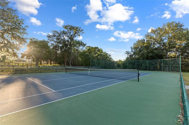 7351 Spring Mountain Ln, House other with 5 bedrooms, 4 bathrooms and null parking in YALAHA FL | Image 99