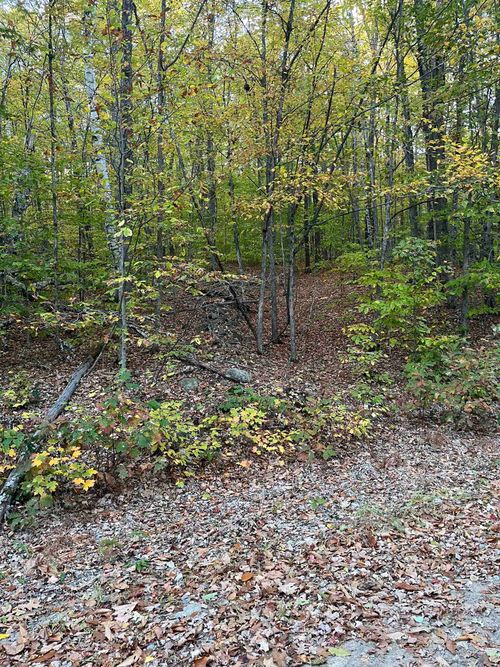 10-4-1 David Thompson Drive, Campton, NH, 03223 | Card Image
