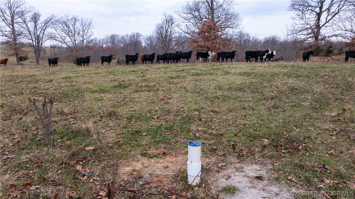 Farm in Crocker 3