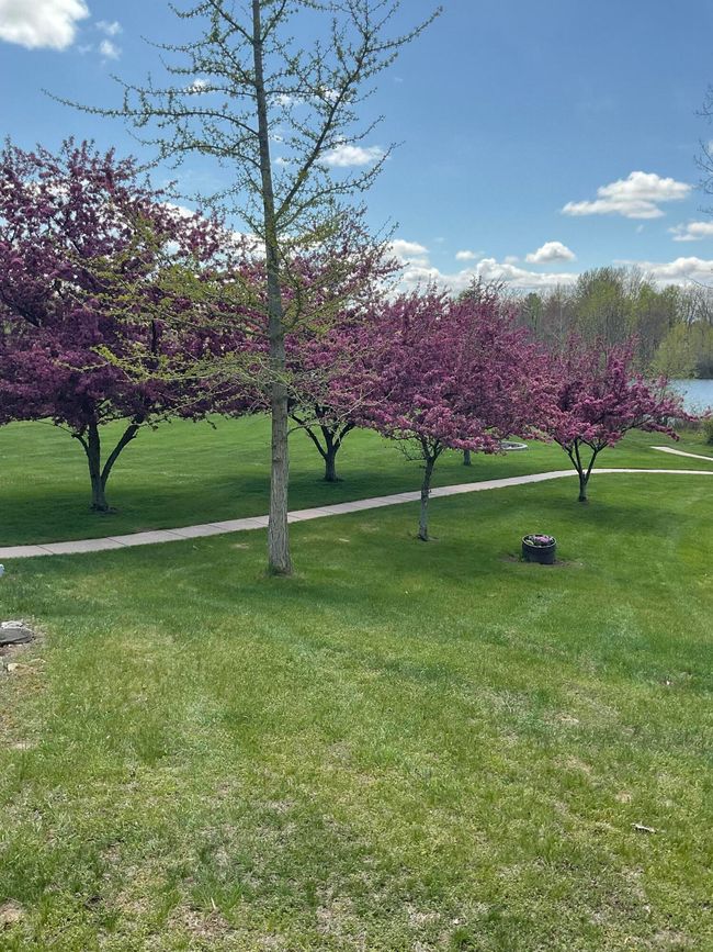 47233 County Road 380, House other with 5 bedrooms, 3 bathrooms and null parking in Grand Junction MI | Image 59