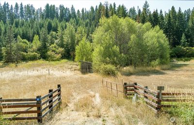 Level meadow a the front and a lovely hillside with a beautiful mix of trees gives you many options for development. | Image 2