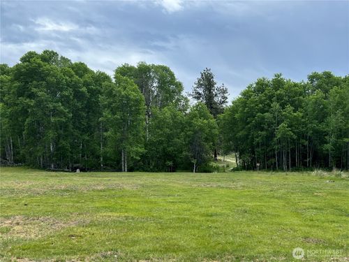 0 Wild Rose Ln, Tonasket, WA, 98855 | Card Image