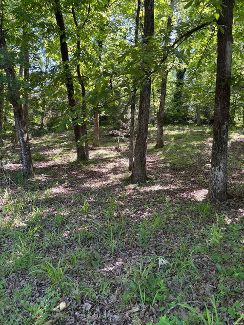 TBD N Crystal Springs Road, Royal, AR, 71968 | Card Image