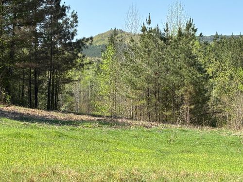 108 Leggett Rd, Sale Creek, TN, 37373-9518 | Card Image