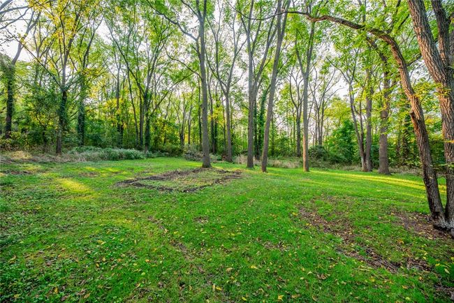 private tree-lined backyard | Image 33