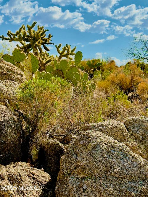 25-30503 S Charles Road, Oracle, AZ, 85623 | Card Image