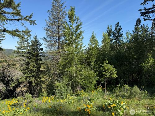 17 XX Twin Lakes Rd, Cle Elum, WA, 98922 | Card Image