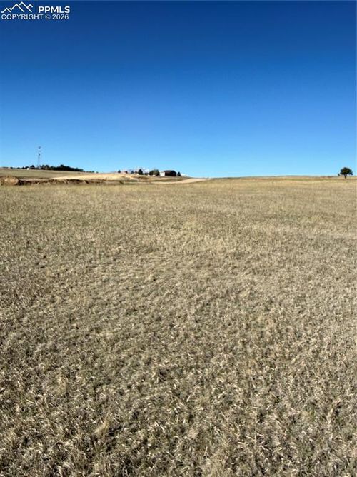 16874 Endless Skye Lane, Colorado Springs, CO, 80908 | Card Image
