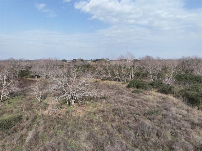 Additional view of South woods | Image 35