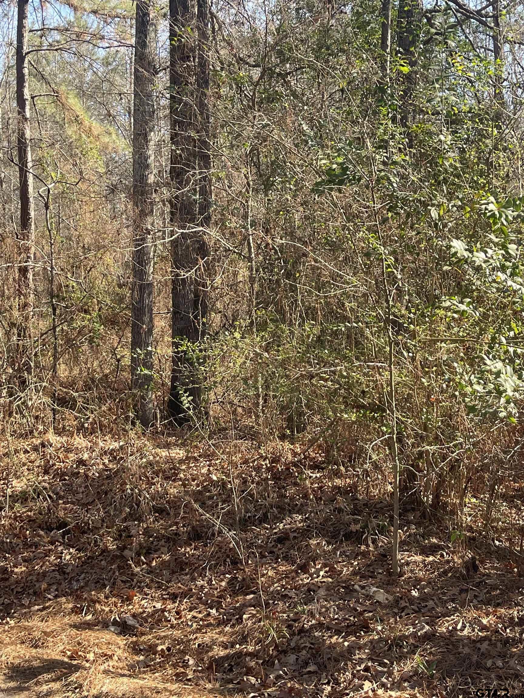 Land in Troup 4