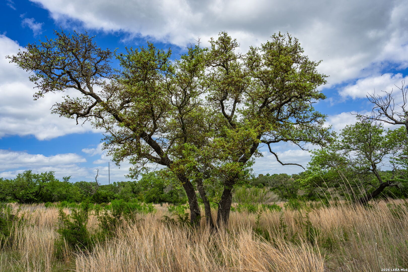Land in Kerrville 5