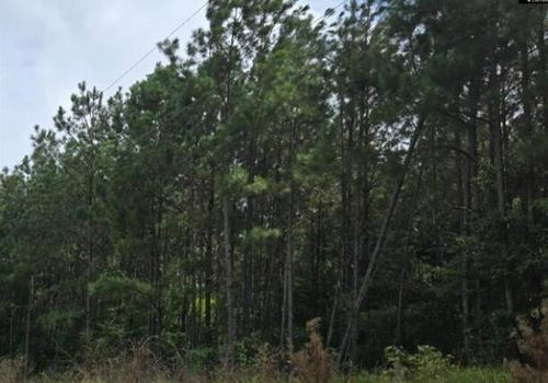 Lot M Old Edgefield Road, Ninety Six, SC,  | Card Image