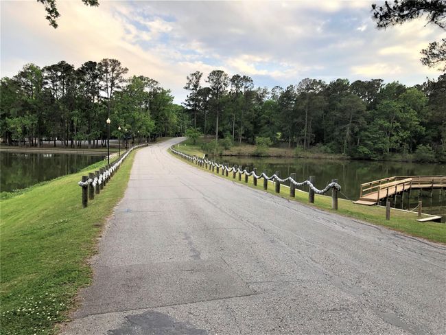 731 N Forest Cove Loop, Home with 0 bedrooms, 0 bathrooms and null parking in Coldspring TX | Image 10