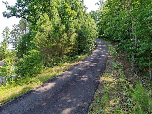 Lot 88 Thirteen Hundred, Blairsville, GA, 30512 | Card Image