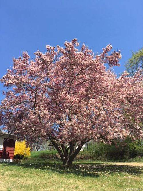 220 Wilbur Blvd, Poughkeepsie, NY, 12603-4916 | Card Image