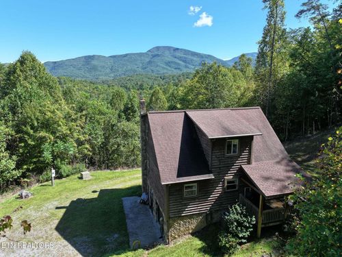 199 Pear Tree Way, Del Rio, TN, 37727-2458 | Card Image