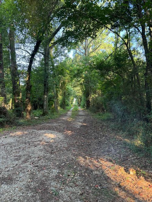 17286 Highway 933, Prairieville, LA, 70769-6104 | Card Image