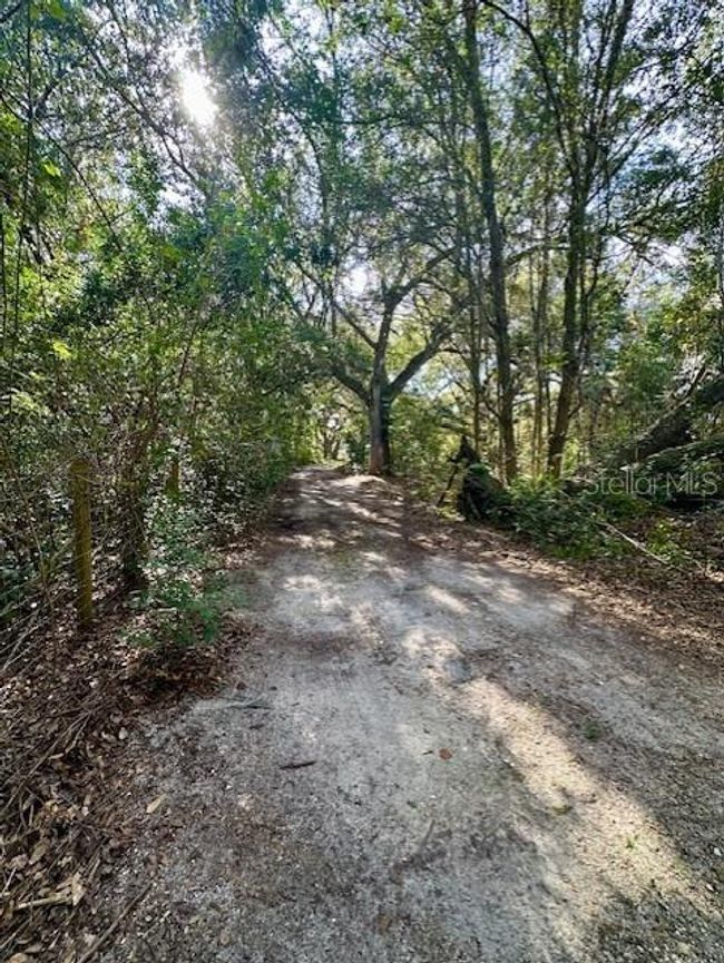 1918 Mountain Lake Cutoff Rd, House other with 6 bedrooms, 4 bathrooms and null parking in LAKE WALES FL | Image 37