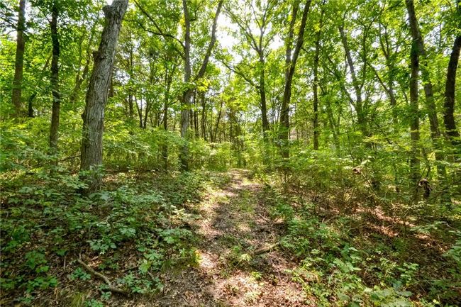 000 Us Highway 65, Home with 0 bedrooms, 0 bathrooms and null parking in Cross Timbers MO | Image 9