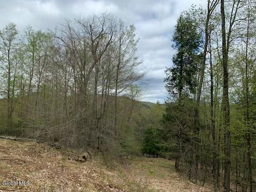 4 Alderbrook Rd, Brant Lake, NY, 12815 | Card Image