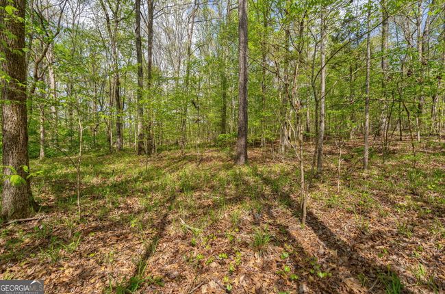 0 Skull Shoals Rd, Home with 0 bedrooms, 0 bathrooms and null parking in Washington GA | Image 16