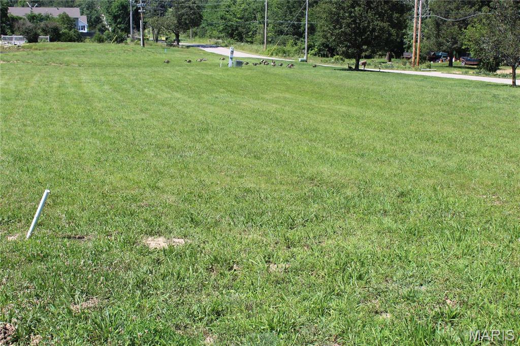 Land in Poplar Bluff 5