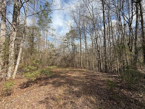 21 Acres Waverly Cir, Waverly hall, GA, 31831-3537 | Card Image