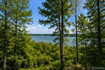 Land in Alberta 2