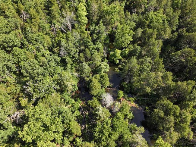 dji_fly_20250620_102816_0020_17504331118 | Image 26