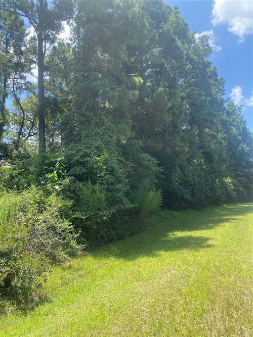 22922 Blackgum Dr, Magnolia, TX, 77355-3919 | Card Image