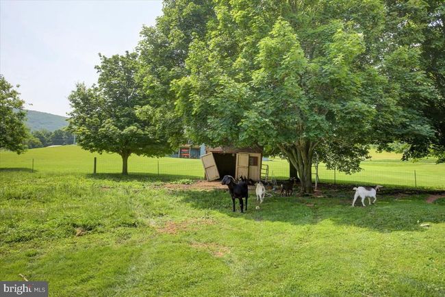 18759 Amberson Rd, House other with 4 bedrooms, 2 bathrooms and null parking in SPRING RUN PA | Image 29