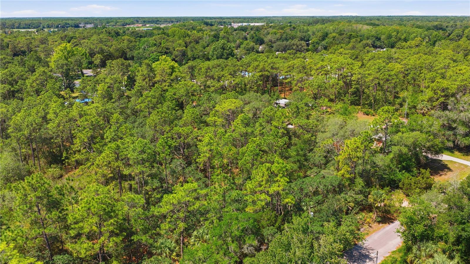 Land in CRYSTAL RIVER 2
