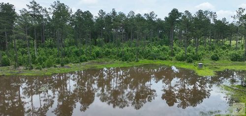 TBD County Road 2468, Douglassville, TX, 75560 | Card Image