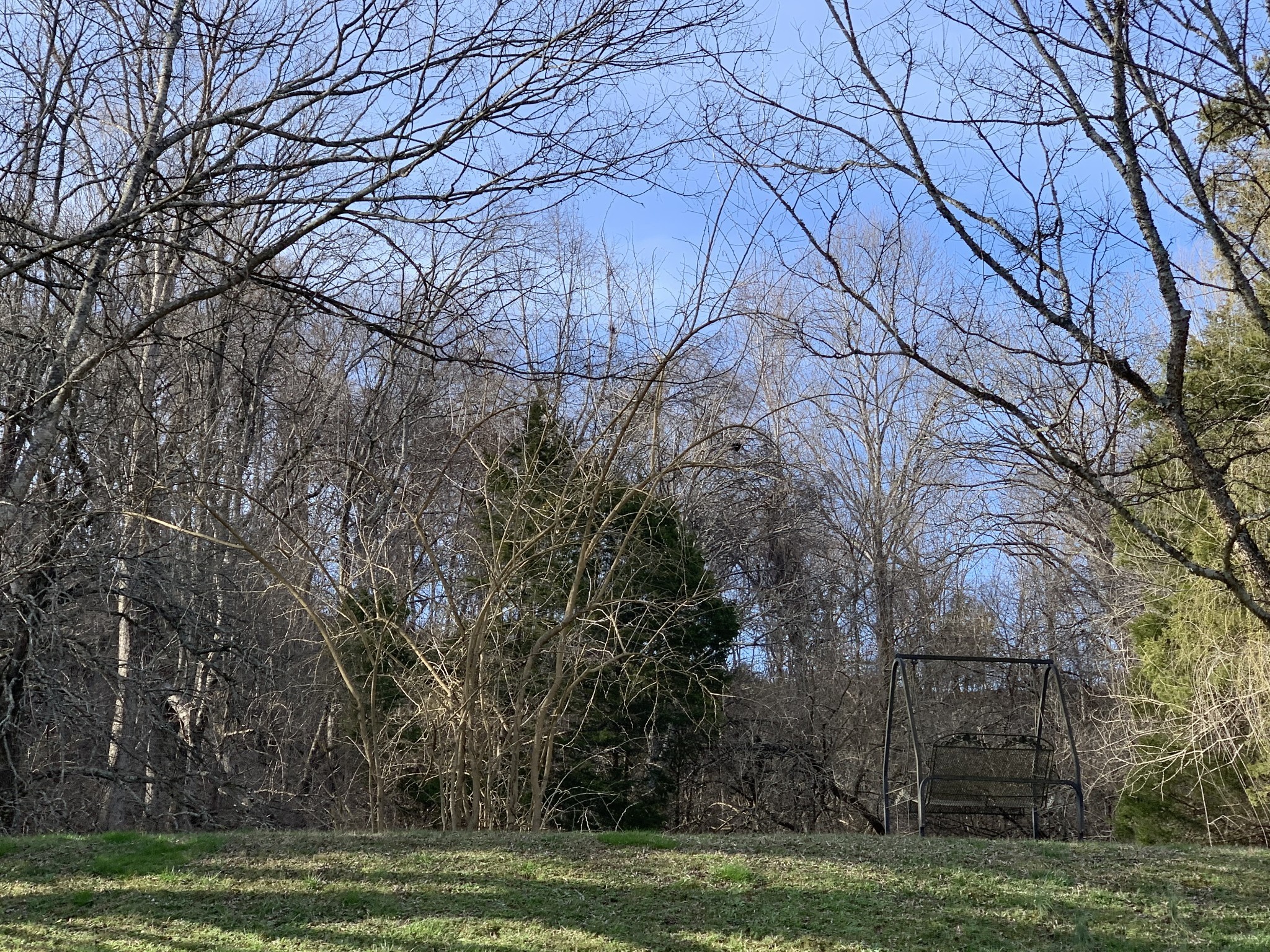 1747 Cayce Springs, For Rent in Thompsons Station Zoocasa