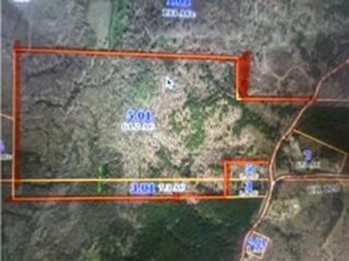 2951 County Road 100, Walnut, MS, 38683 | Card Image