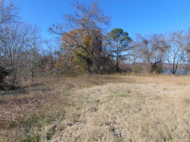 210 Harbor View Dr, Home with 0 bedrooms, 0 bathrooms and null parking in Sheffield AL | Image 6
