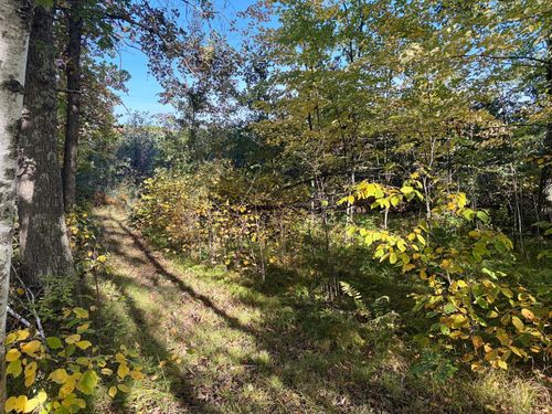 TBD 248th Place, McGregor, MN, 55760 | Card Image