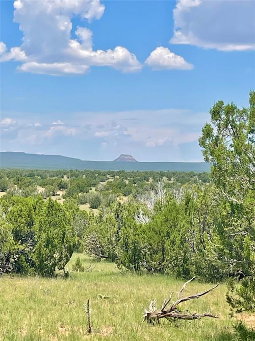 000 County Rd B29a, Villanueva, NM, 87583 | Card Image