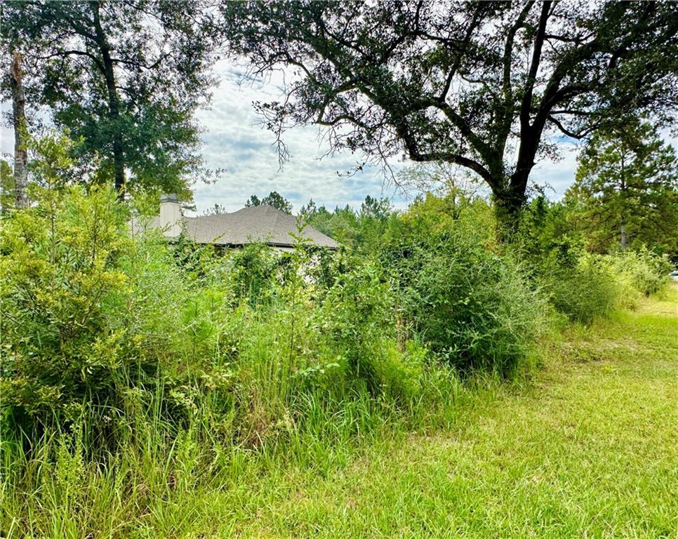 Land in Mobile 4