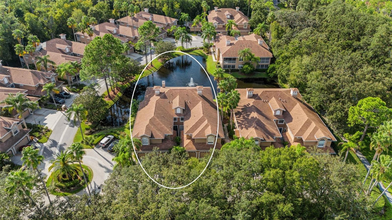 Preserve Pl, Palm Harbor, FL 34685