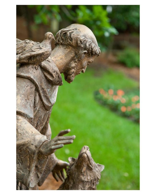 St Francis enjoying nature with his dog | Image 22