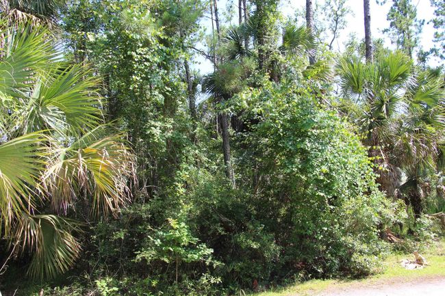 1 Hobbs Way, Home with 0 bedrooms, 0 bathrooms and null parking in ST MARKS FL | Image 12