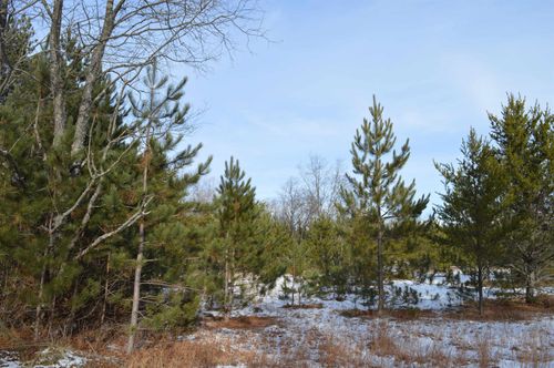 Off Wood Road, Ne, Rapid River Township, MI, 49646 | Card Image