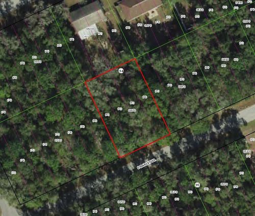 3551 E Baxley Pl, Inverness, FL, 34453-0497 | Card Image