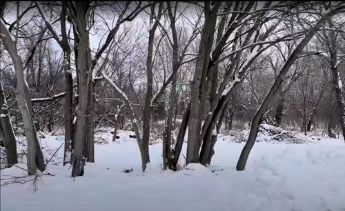 Vacant Heiden Avenue, Crest Hill, IL, 60403 | Card Image