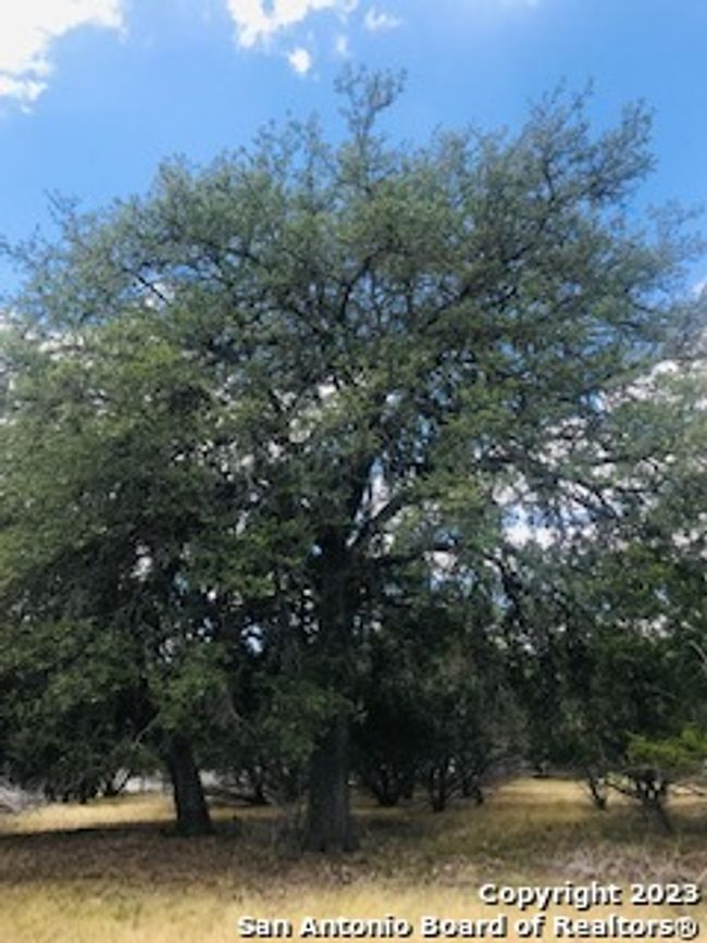 26 Mustang Crossing Dr, Home with 0 bedrooms, 0 bathrooms and null parking in Pipe Creek TX | Image 18